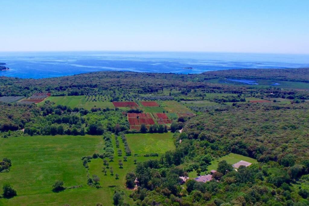 Villa Birds House Rovinj Exterior foto